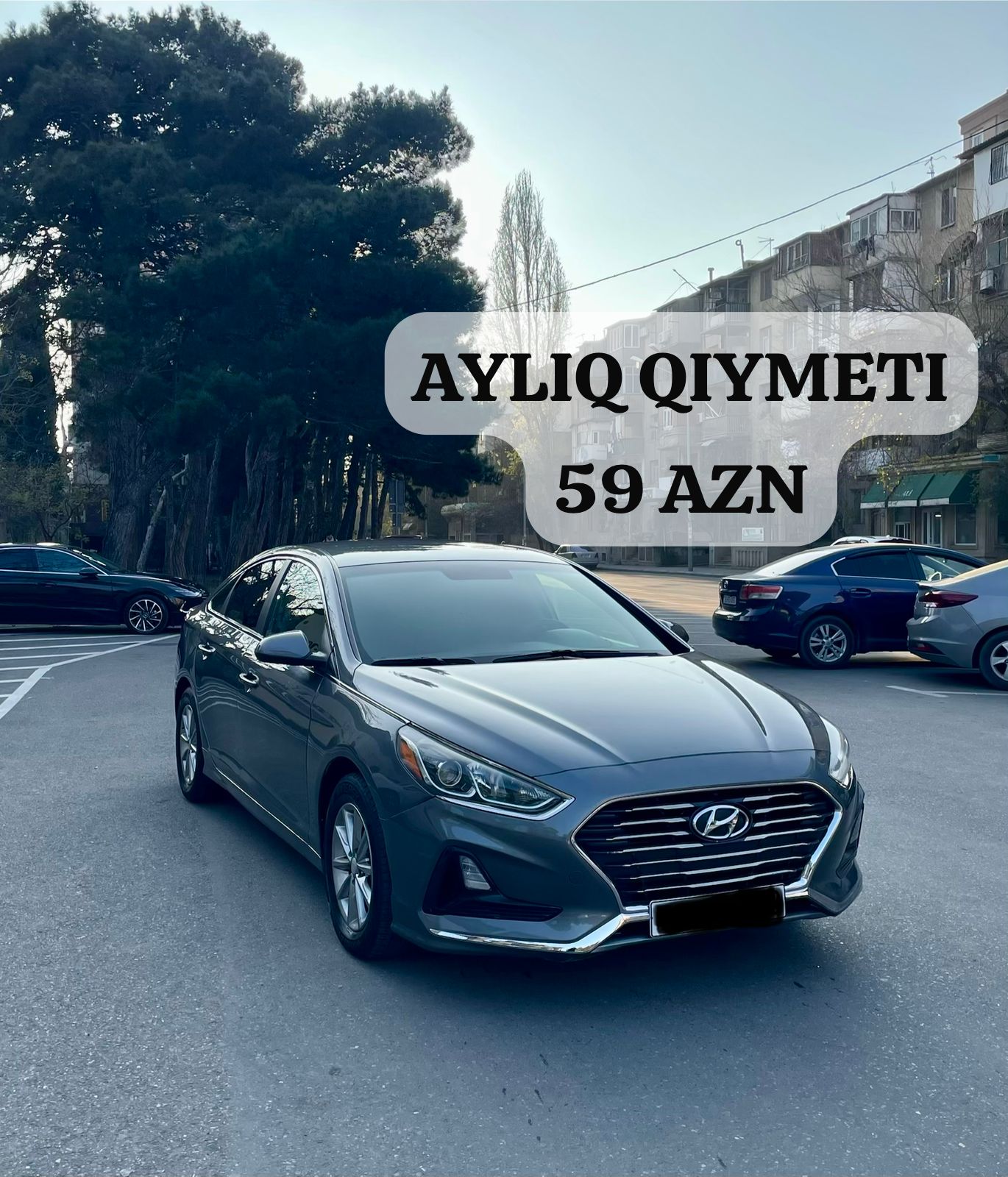 Rentacar thumbnail 5